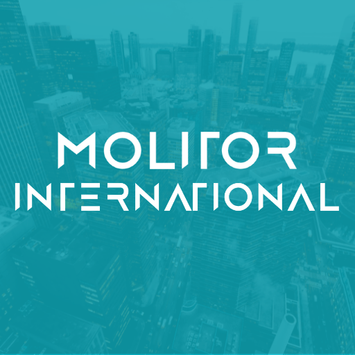 Molitor International Consulting